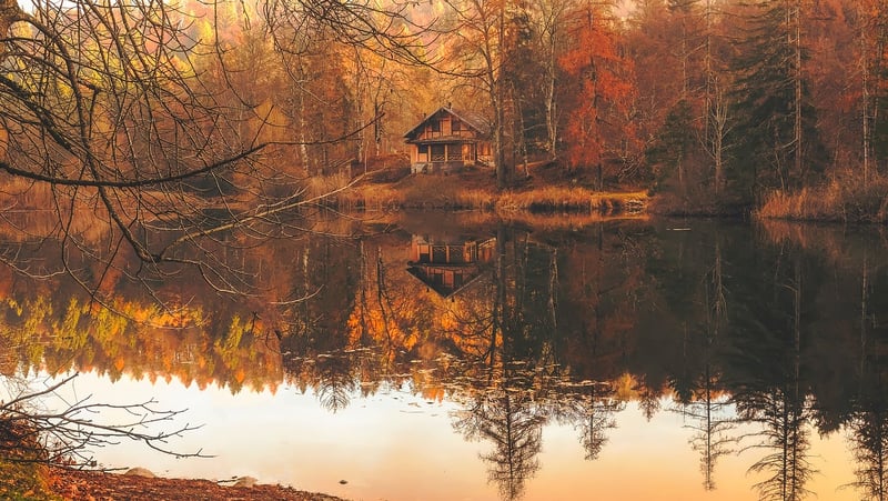 Cabin in the forest